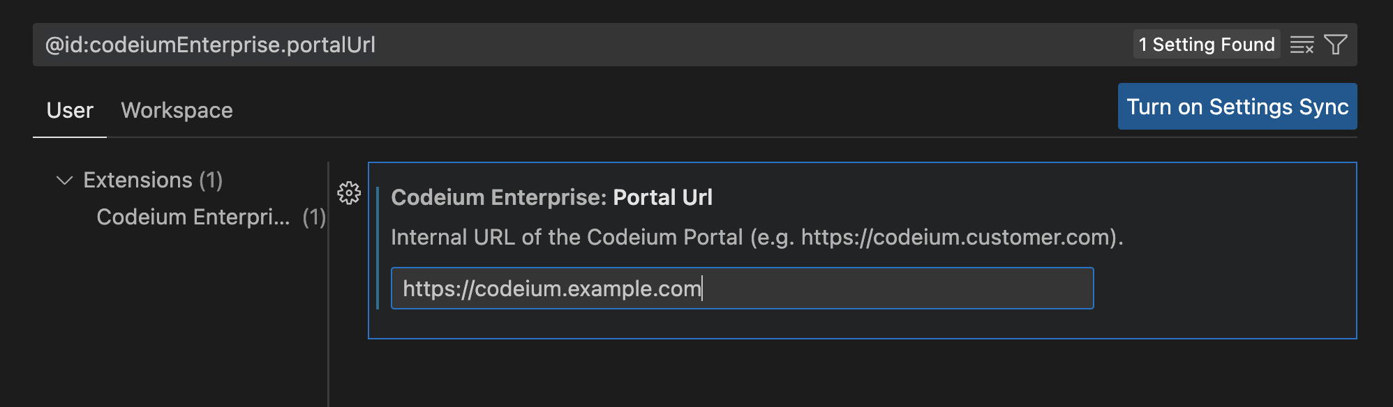 Set Codeium Portal URL